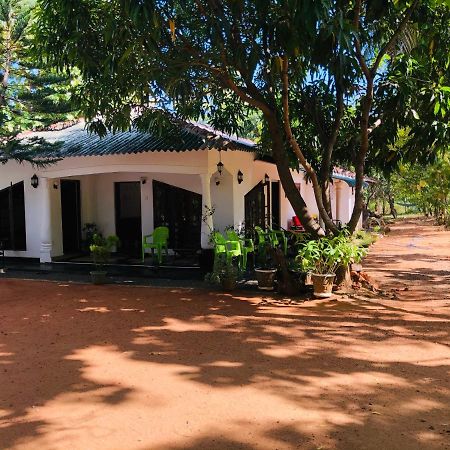 Dambulla City Hostel Dış mekan fotoğraf