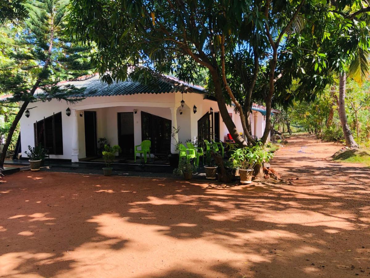 Dambulla City Hostel Dış mekan fotoğraf
