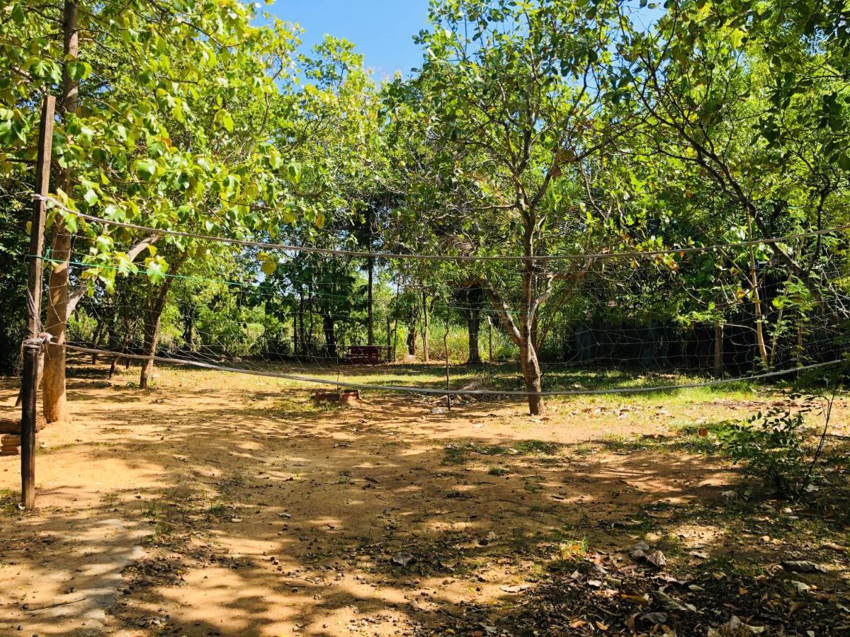 Dambulla City Hostel Dış mekan fotoğraf